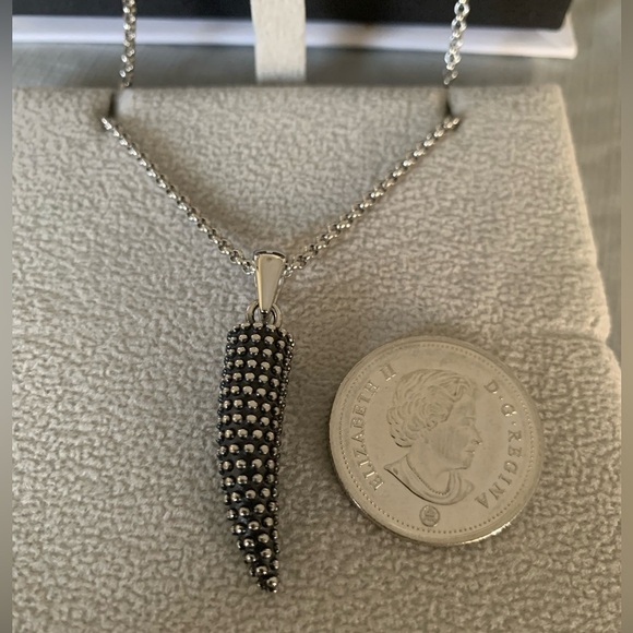 Stainless Steel Horn Pendant on Rolo Chain 22” - Picture 3 of 6